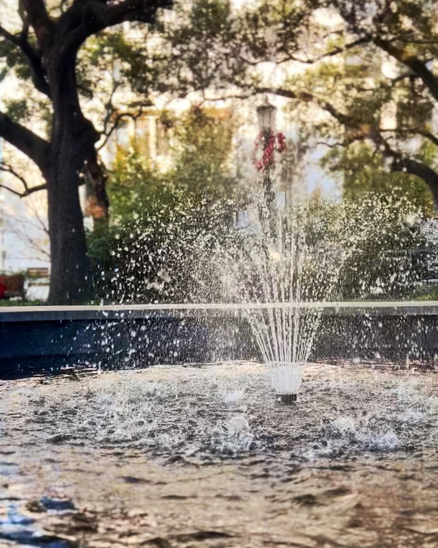 Johnson Square Fountain, Savannah, Georgia